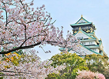 体育直播-【中超】扎哈维双响莫雷诺点射 申花2比3富力
